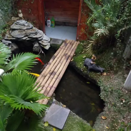 Green Homestay Hanoi Exterior photo